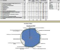 Grafische Darstellung der Information Security Maturity